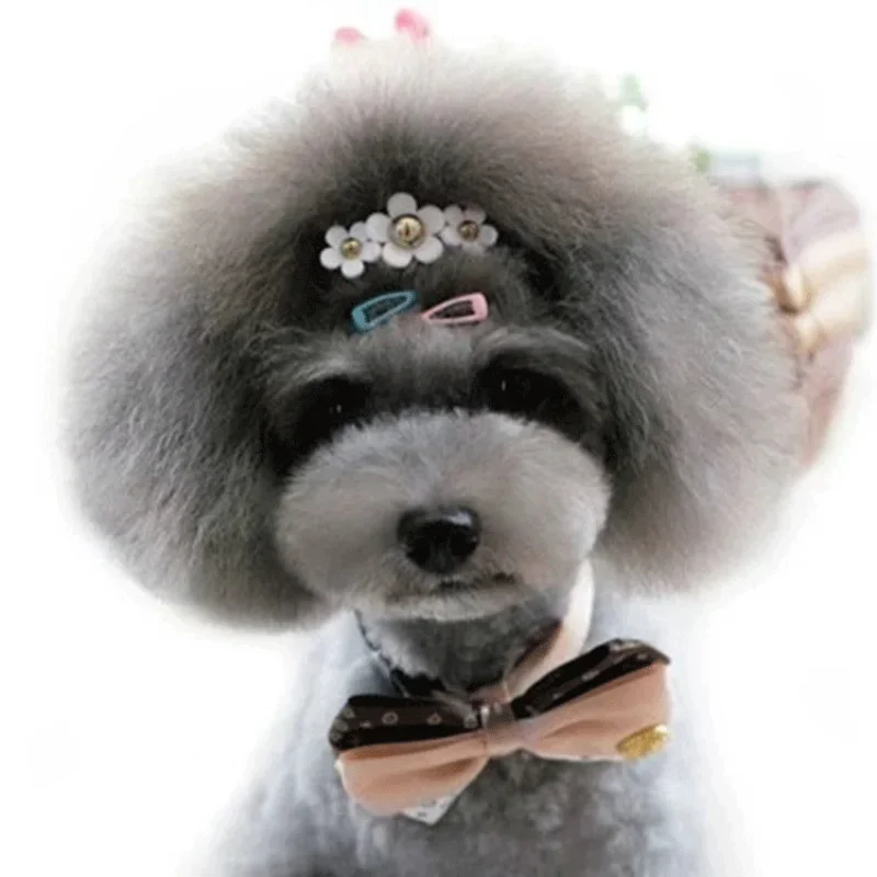 5pc/set Korean Mini 2cm Colorf - مراجعة Vintage Fashion Dolls وسعره
